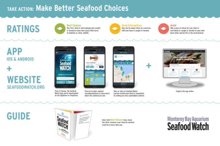 Training tool for restaurant and business partners - page 2