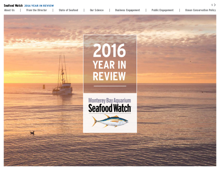 2016 Year in Review