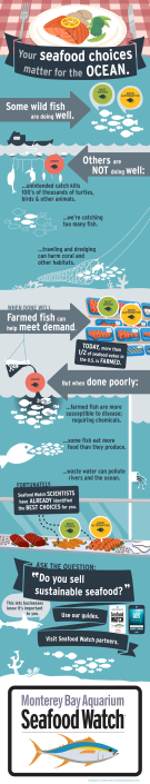 Mobile app infographic - full