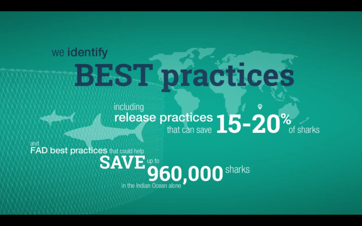04_BestPractices_SaveSharks