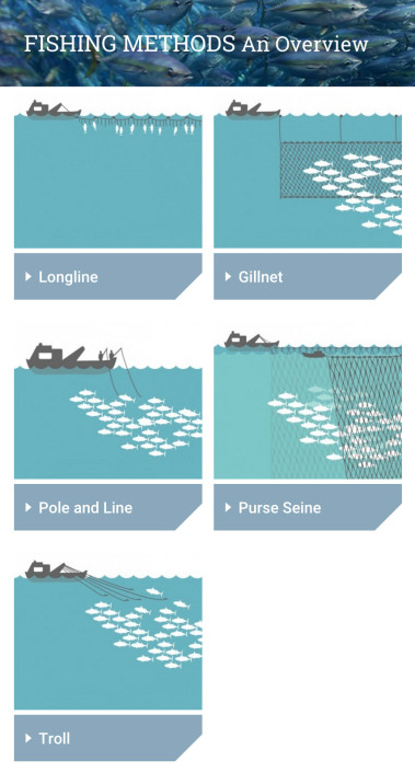 FishingMethods_mobile
