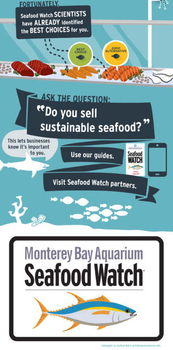 SW_infogMobile app infographic - part 3