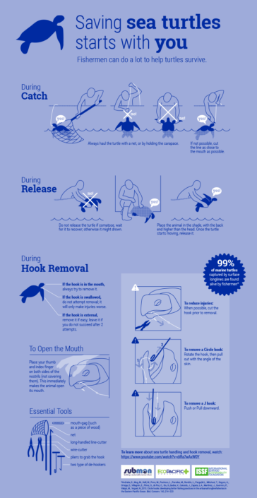 Saving Sea Turtles Infographic Saving Sea Turtles Infographic